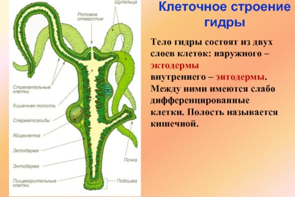 Почему кракен